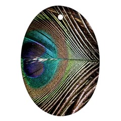 Peacock Oval Ornament (two Sides)