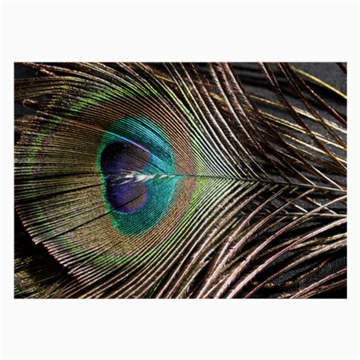 Peacock Large Glasses Cloth