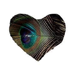 Peacock Standard 16  Premium Flano Heart Shape Cushions