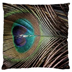 Peacock Large Premium Plush Fleece Cushion Case (one Side) by StarvingArtisan