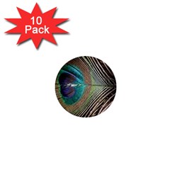 Peacock 1  Mini Buttons (10 Pack) 