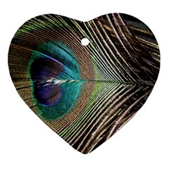 Peacock Ornament (heart)