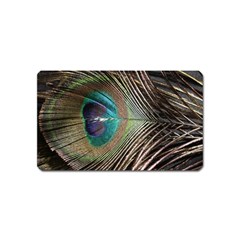 Peacock Magnet (name Card)