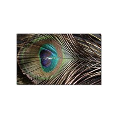 Peacock Sticker Rectangular (10 Pack)