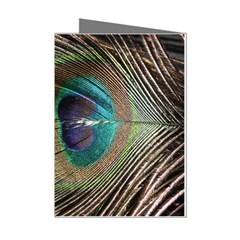 Peacock Mini Greeting Cards (pkg Of 8)