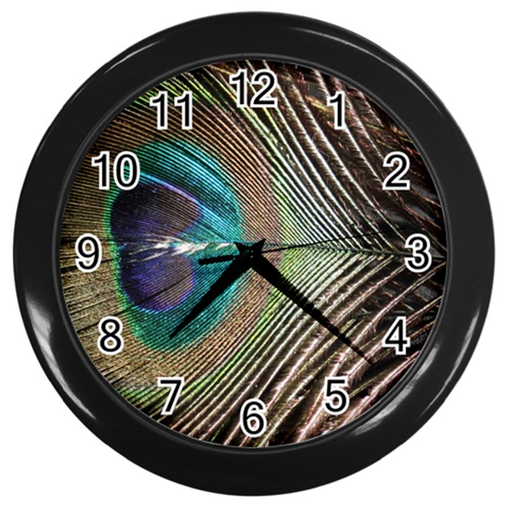 Peacock Wall Clock (Black)