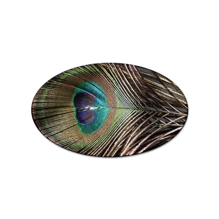 Peacock Sticker (Oval)