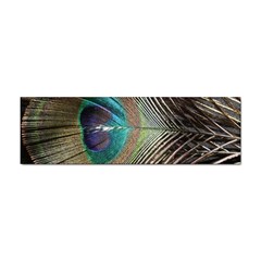 Peacock Sticker (bumper)