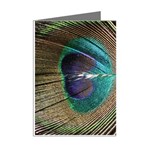 Peacock Mini Greeting Cards (Pkg of 8) Right