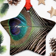 Peacock Star Ornament (two Sides) by StarvingArtisan