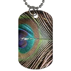 Peacock Dog Tag (one Side) by StarvingArtisan