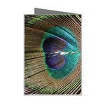 Peacock Mini Greeting Card Right