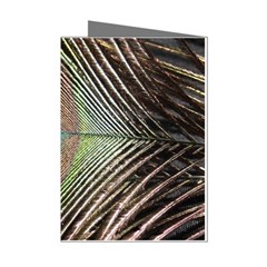 Peacock Mini Greeting Cards (pkg Of 8)