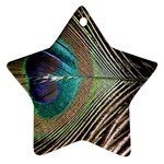 Peacock Star Ornament (Two Sides) Front