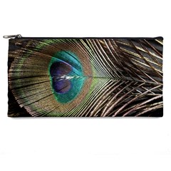 Peacock Pencil Case by StarvingArtisan