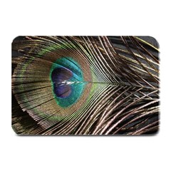 Peacock Plate Mats by StarvingArtisan