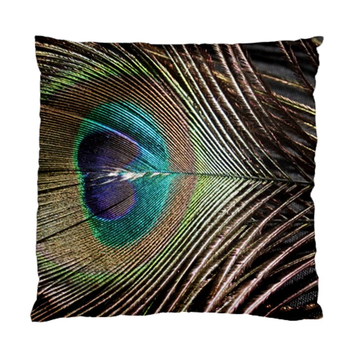 Peacock Standard Cushion Case (Two Sides)