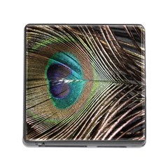 Peacock Memory Card Reader (square 5 Slot) by StarvingArtisan