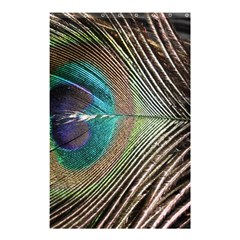 Peacock Shower Curtain 48  X 72  (small) 