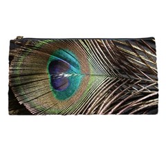 Peacock Pencil Case