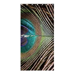 Peacock Shower Curtain 36  X 72  (stall) 