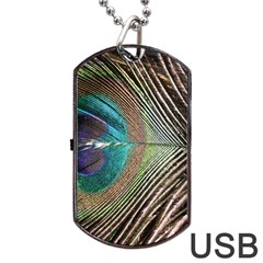 Peacock Dog Tag Usb Flash (two Sides) by StarvingArtisan