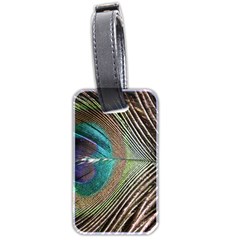 Peacock Luggage Tag (two Sides) by StarvingArtisan