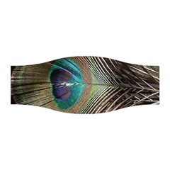 Peacock Stretchable Headband