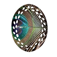 Peacock Ornament (oval Filigree)