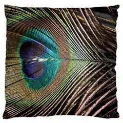 Peacock Large Cushion Case (two Sides)