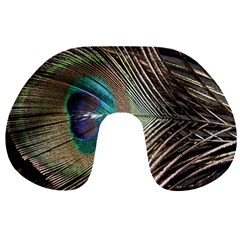 Peacock Travel Neck Pillow