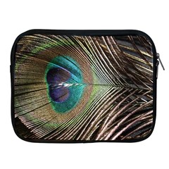 Peacock Apple Ipad 2/3/4 Zipper Cases by StarvingArtisan