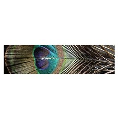 Peacock Oblong Satin Scarf (16  X 60 )