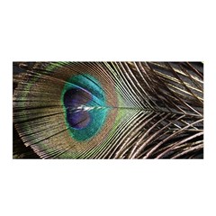 Peacock Satin Wrap 35  X 70 