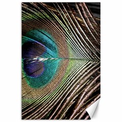 Peacock Canvas 24  X 36  by StarvingArtisan