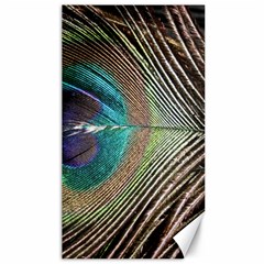 Peacock Canvas 40  X 72  by StarvingArtisan