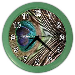 Peacock Color Wall Clock by StarvingArtisan