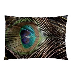 Peacock Pillow Case by StarvingArtisan