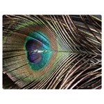 Peacock One Side Premium Plush Fleece Blanket (Extra Small) 40 x30  Blanket Front