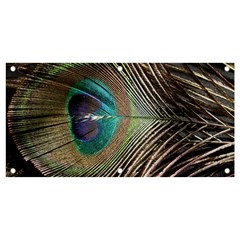 Peacock Banner And Sign 4  X 2  by StarvingArtisan