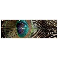 Peacock Banner And Sign 9  X 3  by StarvingArtisan