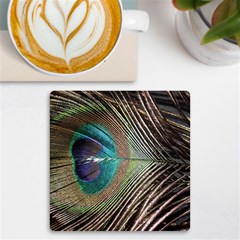 Peacock Uv Print Square Tile Coaster  by StarvingArtisan