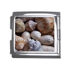 Beautiful Seashells  Mega Link Italian Charm (18mm)