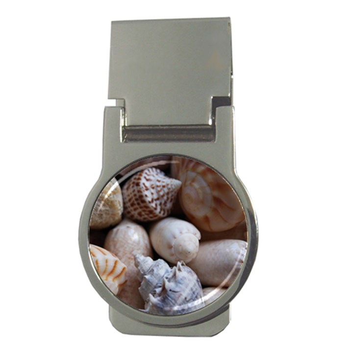 Beautiful Seashells  Money Clips (Round) 