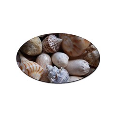 Beautiful Seashells  Sticker (oval) by StarvingArtisan