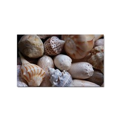 Beautiful Seashells  Sticker (rectangular) by StarvingArtisan