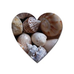 Beautiful Seashells  Heart Magnet by StarvingArtisan