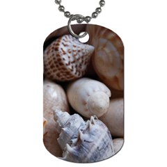 Beautiful Seashells  Dog Tag (two Sides) by StarvingArtisan