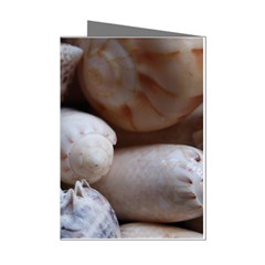 Beautiful Seashells  Mini Greeting Cards (pkg Of 8) by StarvingArtisan