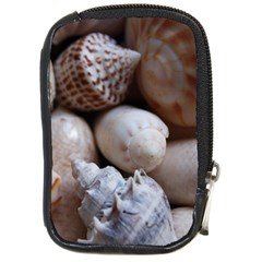 Beautiful Seashells  Compact Camera Leather Case by StarvingArtisan